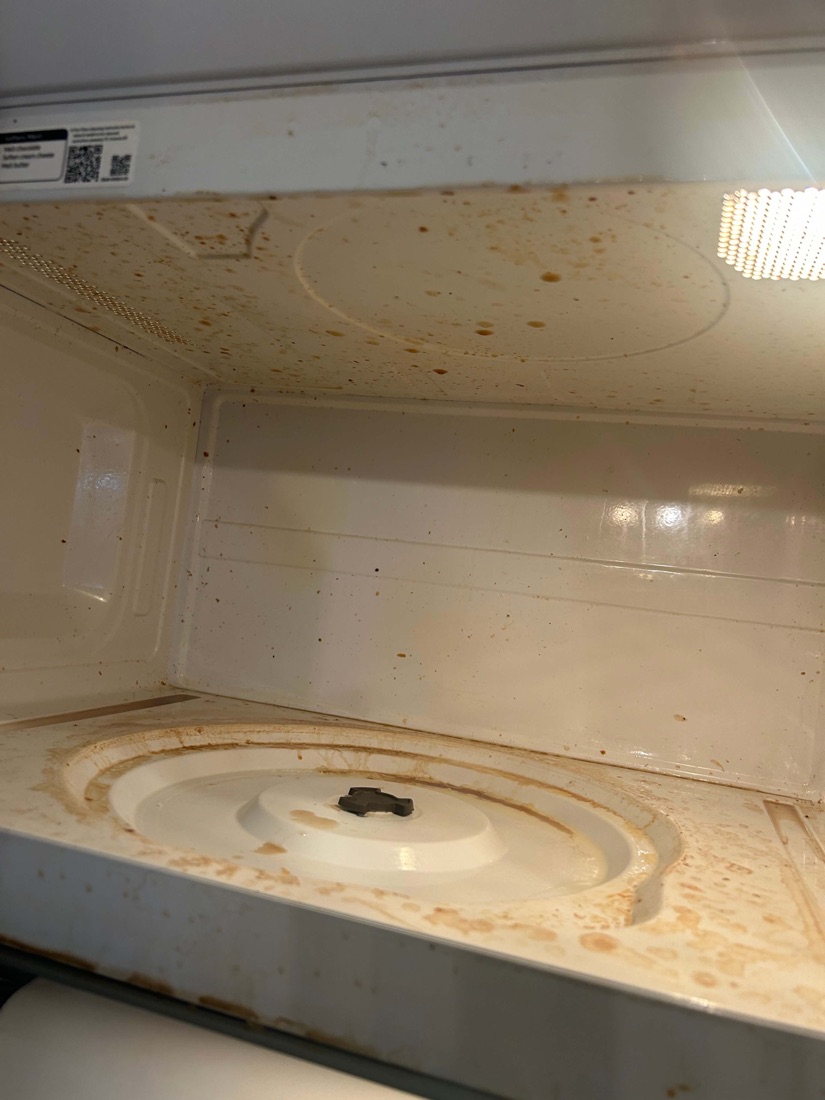 Microwave before cleaning